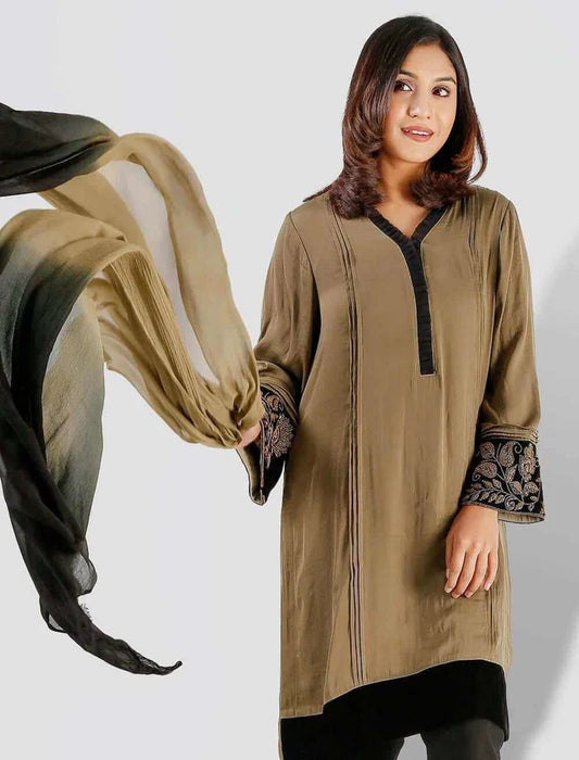 Regular Fit Zardozi Kameez